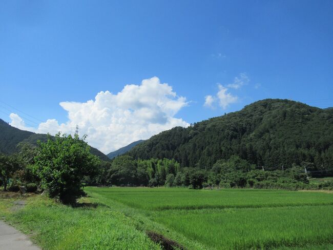 最近旅行記を作る意欲も体力も減退しつつあります。<br />自粛生活のせいもあるでしょうが、イマヒトツ気分が乗りません。<br /><br />でも少しずつ撮った写真が増えたので、4月から8月までの毎日の生活をまとめてみました。<br />よろしかったら、読んでみてください。