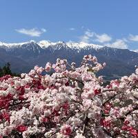 長野　周遊旅行（花紀行)