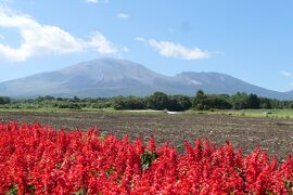 夏の優雅な避暑♪　Vol.32 ☆北軽井沢：高原のテラスで優雅なフランス料理♪