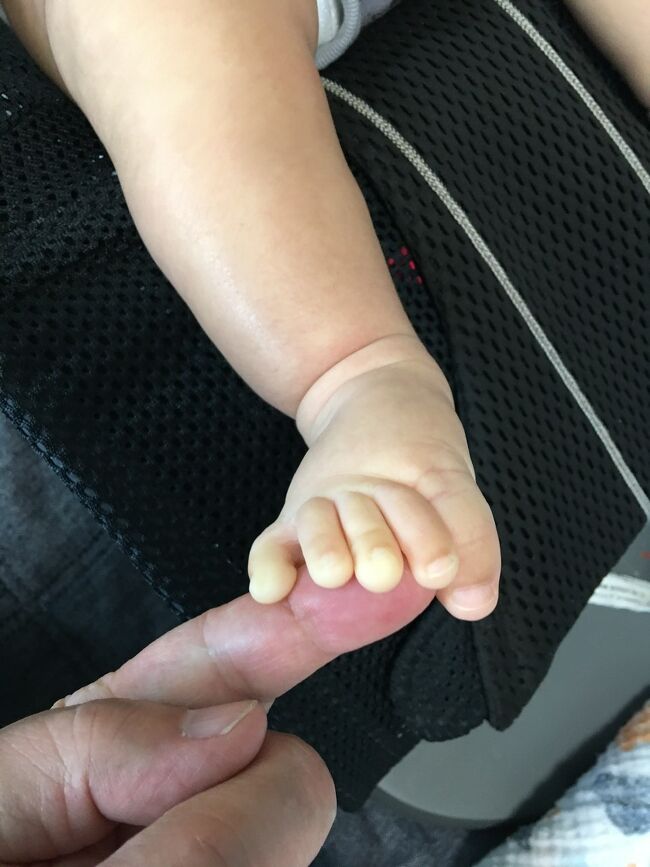 もうすぐ、3歳と3ヶ月になる孫達に、会いに行ってきました<br /><br />義理の息子がゴルフで、娘と孫達だけなので娘から遊びに来てとのお誘いがあり、前回はバアバだけ行ったのですが、今回は、ジイジも行くことに、2ヶ月ぶりですが、2人とも大きくなっていました、一緒に楽しい時間を過ごすことができました<br /><br />次は、長男の誕生日かな