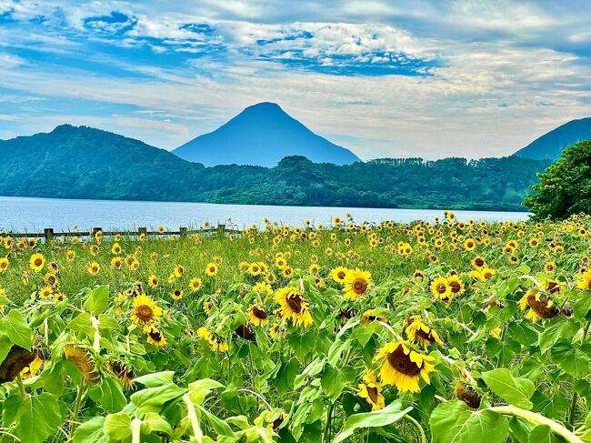 2021年夏休み:6日目:さようなら屋久島＆目指せ鹿児島『指宿温泉砂むし温泉指宿白水館』＆宮崎シーガイヤ＆霧島温泉郷を回遊8泊9日家族旅行♪