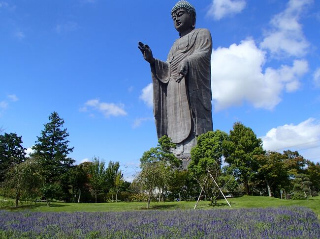 　久しぶりの母子旅で、近場の牛久大仏と鹿島神宮へ行くことにしました。<br /><br />　どちらも前から行きたいと思っていたけれど、近いしそのうち行くかー、と結局行ってなかった場所なんです！！<br /><br />　今回は、コンフォートイン鹿島を利用しました。小学生以下添い寝無料なので、実質大人１人分の料金で宿泊してお得に、子どもたちとゆるゆるスケジュールで出かけてきました。