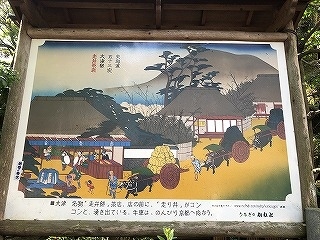 歩いて東海道五十三次にチャレンジ　Part1　京都三条～草津