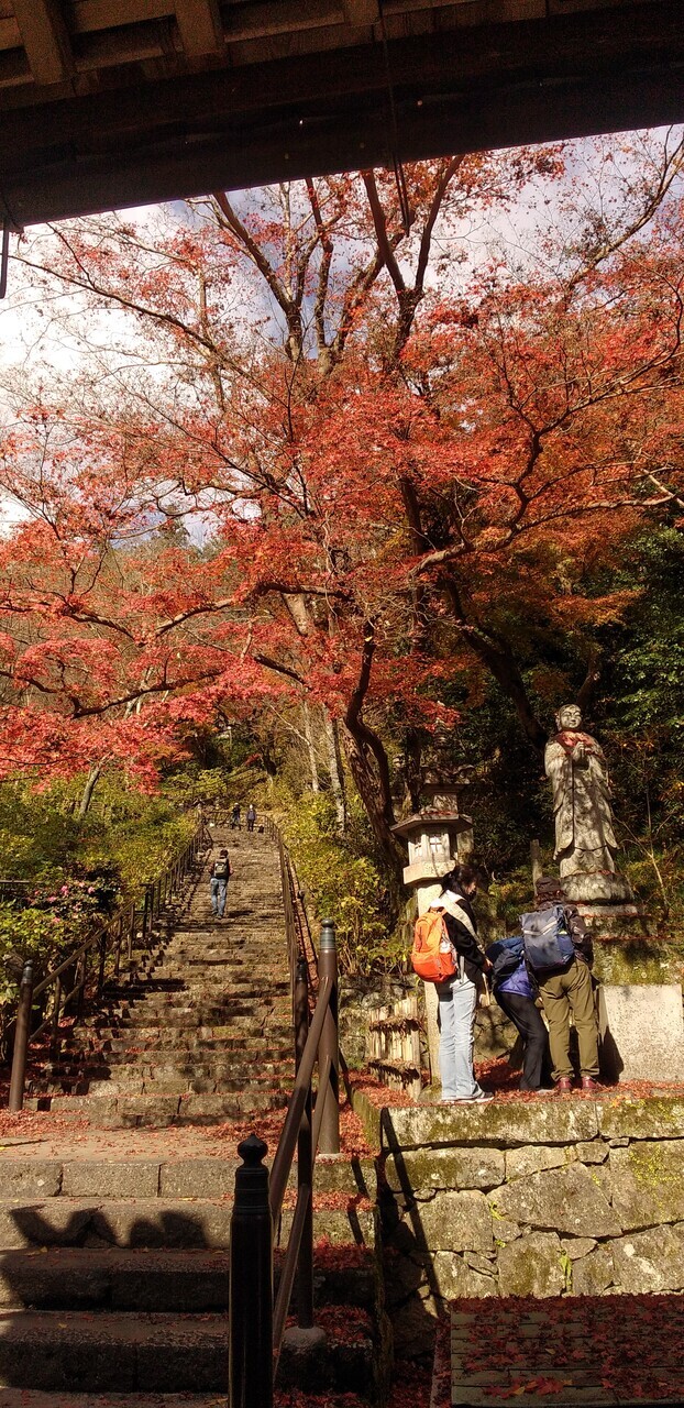 GO TO利用で奈良へ<br />宿泊先は奈良のへんなホテル<br />神社、紅葉、スイーツとコロナ禍の隙間での旅だったので、完全無計画に飛び出した旅<br />良かったけど、やはり旅は計画的に!<br />と自戒と反省を込めて記録。<br />コロナ明けたら、キチンと素敵な旅を計画するぞ!