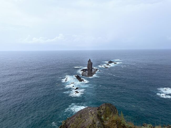 2日目は岬と海岸の観光です。今回青の絶景ということで水関係多めでした。<br />コロナのため、外での観光が増えているのかもしれません。<br /><br />9/22（水）羽田発　新千歳着　ホテル　（バス走行距離120ｋｍ）<br />9/23(木）神威岬　海鮮丼の昼食　島武意海岸　(バス走行距離250ｋｍ）<br />9/24(金）大滝ナイアガラの滝　支笏湖　えこりん村　新千歳空港　(バス走行距離130ｋｍ） 