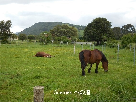 　歩く歩く歩く2016　北の道４<br /><br />　歩き１１日目　　サントーニャ　－　Guemes<br /><br />　５月２３日（月）サントーニャ。大きくて立派なアルベルゲなのにペレグリノは８名しか泊まらなかった。他の人たちはみんな私営に泊まったのだろうか？