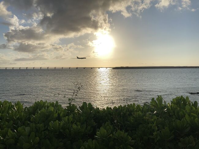 まだ緊急事態宣言中ですが<br />沖縄県那覇市にひとり旅してきました。<br /><br />ペーパードライバーなので<br />ゆいレール、徒歩、レンタサイクルで<br />那覇市内をのんびりと過ごすことに。<br /><br />ホテルはプチリゾート感満載の築浅ホテル<br />ホテルストレータ那覇<br />に2泊と最終日にデイユースで計2.5泊<br /><br />ツインルーム高層階 2泊で25,110円<br />ダブルルーム 12時間デイユース 5,000円<br /><br />飛行機はマイルの特典航空券で往復JAL利用<br /><br />..<br />2日目は、ご当地スーパー等でお土産購入<br />とウミカジテラスでサンセット<br /><br />※感染対策について<br />既にワクチン2回接種済み<br />ひとり旅ゆえに黙食の徹底<br />不織布マスクの着用<br />こまめな手洗いや消毒<br />普段から行ってますがこれらを徹底しました。