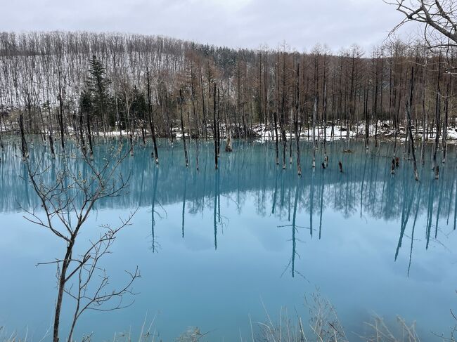 北海道1周の記録その③。ラストも駆け足で！<br />絶景のエリア…のはずが曇天&amp;季節外れでなかなかシュールな景色に^^;<br />それもまた思い出^^;<br /><br />day1 羽田～札幌<br />day2 札幌～余市日帰り<br />day3 札幌～羽幌～稚内<br />day4 稚内～紋別～網走<br />day5 網走～知床斜里～摩周湖～足寄～十勝<br />★day6 十勝～富良野～美英～旭川経由～千歳<br />★day7 千歳～羽田