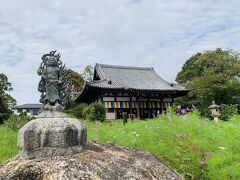 秋の奈良　コスモス寺&カフェ巡りと大仏プリン（╹◡╹）