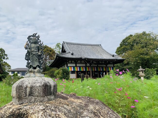 奈良の通称コスモス寺、般若寺をSNSで見つけてすご～く行きたくなった！ついでに奈良で行ってみたかったカフェも網羅しちゃいましょう。初秋のきまぐれ奈良日帰り旅によろしければお付き合いくださいませm(_ _)m