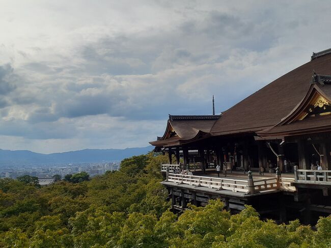 学生の卒業旅行以来、京都へ行きました。<br />まだ若かった頃の自分は歴史や仏閣などにも<br />ほぼ興味はなく、ただなんとなくお寺巡りしていましたが<br />年を重ね、あの頃とは違った目線で見ることができ<br />とても興味深い散策になりました。<br />やはり、京都は日本の歴史を知って行った方が楽しめますね。
