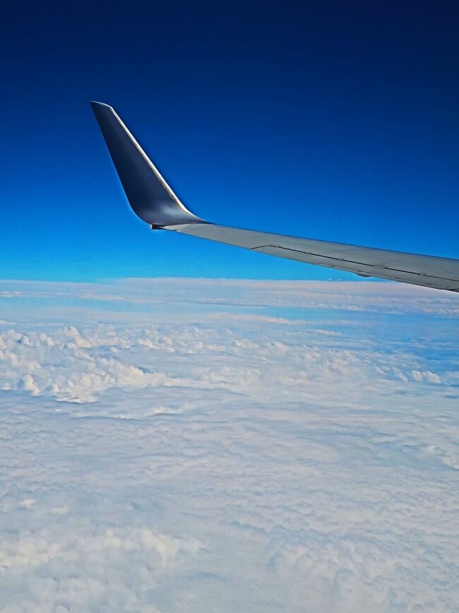 日本航空 JAL 261便 座席 :39K <br />東京(羽田)発 13:30 ⇒広島着 14:45 <br /><br />日本航空 については・・<br />https://www.jal.co.jp/jp/ja/<br /><br />広島空港 については・・<br />https://www.hij.airport.jp/<br /><br />広島空港15:05 ⇒ 広島バスセンター 16:00<br /> (空港連絡バス 1370円 55分) 往復 2,480円<br /> <br />ホテル インターゲート広島 4連泊 0822-246-110<br /> 広島県広島市中区鉄砲町5番16号<br />広島電鉄「八丁堀」下車 徒歩約3分<br />イン 2021-9-06(月) 16:30<br />アウト 2021-9-10(金) 10:00<br />モデレートシングルルーム 食事なし<br /><br />ホテル インターゲート広島 については・・<br />https://www.intergatehotels.jp/hiroshima/<br />