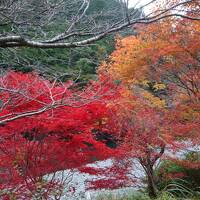 １泊２日　高野山～龍神温泉　②