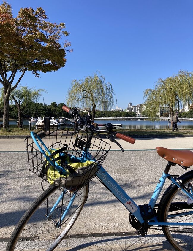 ⬜︎ ホステルフロント階には「自転車」が置いてある…<br /><br />「博多の町は平坦なんで自転車はピッタシですよ!」スタッフの言葉に乗っかり「レンタサイクル」の1日となりました。<br /><br />⬜︎「元祖長浜屋」~「博多ごまさば屋」~「もつ幸」なんて感じで経済的外食!<br /><br />(写真は、大濠水景公園)