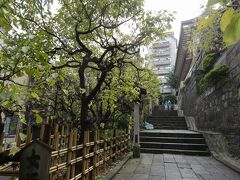 御茶の水・湯島・神田を歩いて巡る【親子で東京往復記2021年9月編その２】