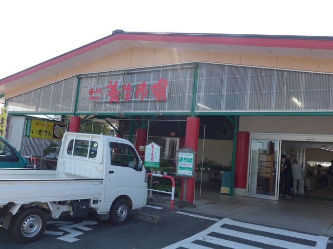 今回の「道の駅シリーズ」熊本県菊池市の「道の駅　泗水」です。<br />九州の道の駅紹介では<br />孔子誕生の地、中国山東省泗水県に町名を由来する泗水町は、国道387号沿いの緑豊かな環境の中にあります。 町のシンボルである孔子公園は、中国の伝統的文化建築で純粋に再現された中国四千年の浪漫を偲ぶ異彩空間です。 隣接の特産物センター養生市場では農産物や地元食材のお弁当を販売しています。 <br />と紹介されています。<br />遠くからも小高い丘に建っている孔子公園の建物が見えるのですぐにわかる場所です。<br />孔子公園はゆっくり観光の名所として見て廻るのもお勧めです。<br />メインの物産館「養生市場」には沢山の地元の獲れたて野菜や熊本の特選お土産品が並んでいて多くの買い物客でにぎわっていました。