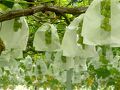 宇佐・豊後高田の旅行記