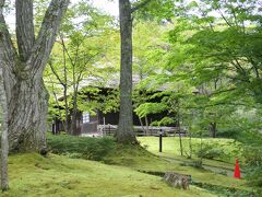 安心して旅行ができる　栃木旅湯西川　キノコ好きにはたまらない　モヤモヤしている旅