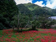 ひがん花の里