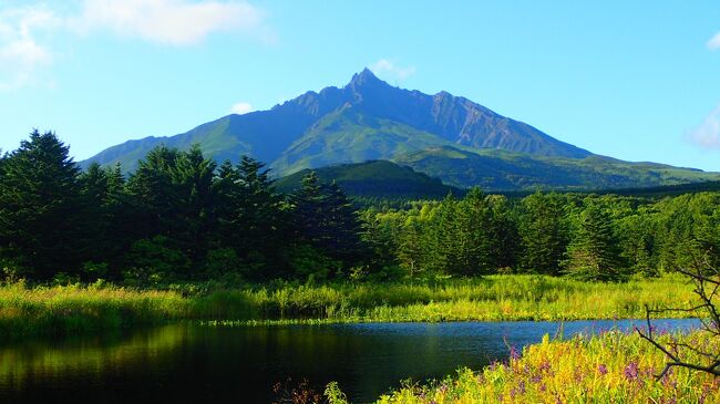 2019年北海道離島旅2日目！<br /><br />いよいよメインの利尻富士登山！！<br />天気は良好！っていうか深夜2時じゃ分からない(笑)<br /><br />＜利尻山概要＞ 世界でも珍しい360°海に囲まれた独立峰。<br />標高1721mながら「リシリ」の名のついた高山植物も多い。日本百名山の最初に登場する。標高差1490m、登り約6時間・下り約4時間 富士山と同じく「合目」で記される。5合目までは樹林帯の緩やかな道を歩き、6合目からつづら折りの急登が始まり、9合目から山頂までは浮石に足をとられる歩きにくい道が続く。<br /><br />甘露泉水以降に水場はなく、登山口以外にトイレもありません。携帯トイレを持参し、ブースでの利用は可能です。使用済みは下山後に回収ボックスがあります。ありがたい！<br /><br />相方は避難小屋で離脱し、山頂までは一人で。ガツガツ登りガツガツ下りてきました。だってガスで真っ白なんだもの。避難小屋で相方と無事合流して一緒に下山できました。<br /><br />早く出たかいあって、トラブルもなく順調に行けたので12:30には下山しました。なので島内観光をすることに。<br /><br />・フェリーターミナル<br />漁協でご当地ドリンク「ミルピス」げっと。利尻山バッジもげっと。<br />フェリーターミナルだけ相方とご一緒して、あとは温泉で待ってるというので温泉においてしばしお別れ(本日2度目www)ソロ観光です。<br /><br />・オタトマリ沼<br />利尻山には雲がかかっている<br /><br />・沼浦湿原<br />利尻山には少し雲がかかっている<br /><br />・南浜湿原<br />日本では唯一ここだけに存在するといわれる『高層湿原と低層湿原が混在』している珍しい湿原らしい。カメラマンが待機している。これはもしかして……利尻山の雲が晴れた！<br /><br />・オタトマリ沼 (戻ってきた)<br />オタトマリ沼越しの利尻山げっと<br /><br />・白い恋人の丘<br />銘菓「白い恋人」のパッケージと同じ景色が見られる。雪がないからピンとこない。<br /><br />・利尻富士温泉<br />汗と疲れを流す。夕食は施設内レストランにて。