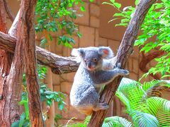 名古屋で「東山動植物園」と「リニア・鉄道館」へ