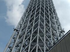 すみだ水族館年間パスポートが2カ月延長されたので行ってきました