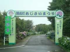 開成町あじさいまつり。徒歩で開成駅を出発して、帰りは新松田駅へ。