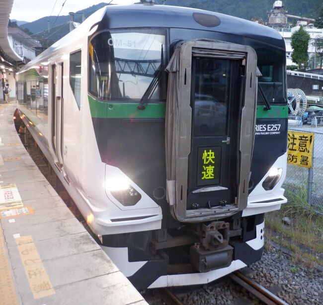 奥多摩駅周辺を散歩した後は、「臨時快速　武蔵野・青梅奥多摩号」に乗りました。