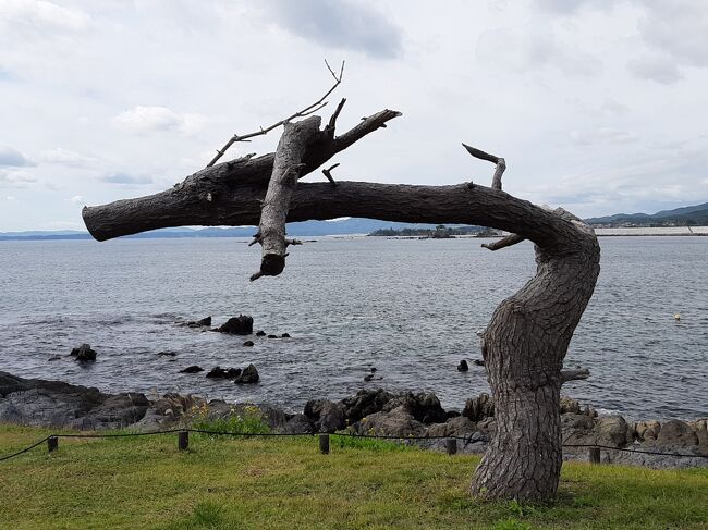 シルバーウィーク後半、広島・松山に観光に行こうと予約をしていました。<br /><br />ところが緊急事態宣言の関係もあり、道後温泉も閉館、呉あたりの海軍施設も閉館、平和記念公園近辺の施設も閉館、これだと昼間の時間も持て余しそうですし、道後は外湯前提のホテルを取っていたので、むしろ密に身を置く可能性が高い感じがしました。<br /><br />そこで思い切ってキャンセルして、自家用車で３０年ぶりぐらいになる気仙沼を最終目的地とし、その行き帰りで美味しいものを食べまくるたびに路線変更と相成りました。<br /><br />ロクに計画もせず出かけた旅。<br />前半、気仙沼を観光するところまでです。<br />気仙沼は（というより宮城県が結構そう）祝日の翌日は休みになる施設が多く、そこに滞在がぶつかってしまったため消化不良です。