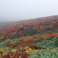 秋の岩手旅３　平泉と栗駒山