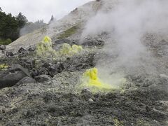 玉川温泉自然研究路