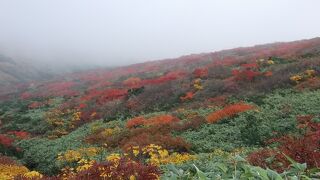 秋の岩手旅３　平泉と栗駒山