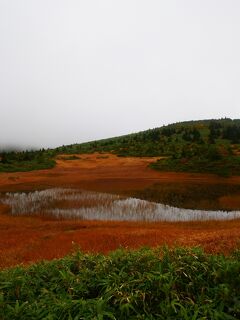 八甲田山　強行軍　～名所でも気分紅葉の有無～