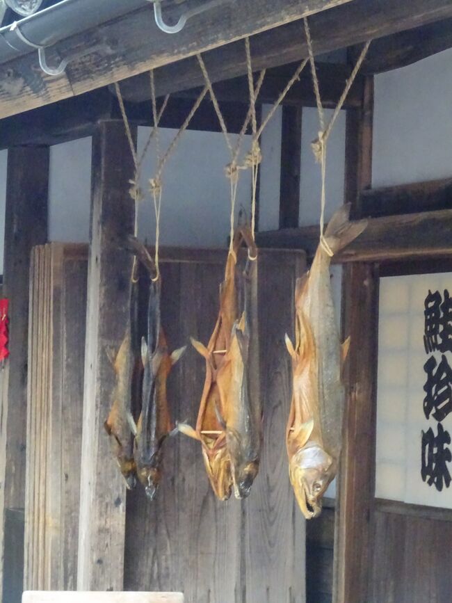 粟島(新潟県)よりフェリー船で岩船港に戻り村上に行き、乗継の3時間半余りで村上を観光しました。(若林家住宅 歴史文化館 オシャギリ会館と村上の歴史を知り、数多くある「町屋」(割烹店 村上牛・鮭料理店 茶屋 木彫店 和菓子屋等)を見ます。駅に戻り、特急で酒田駅に行き、宿泊しました。<br />(写真は味匠喜っ川の鮭の干し物(頭を下にするのが独特))<br />(村上)16C初頭に村上城が築かれ、廃藩まで機能した。(城址が残っています。)町の随所に江戸期の町人町の名残「町屋」が数多く残る。村上牛・鮭料理があり、村上木彫唯朱 「北限の茶所」としてのお茶もあります。<br />(町屋の特徴)間口が狭く奥行きが長く通り土間が続く。茶の間に向きがあり反対側に土間がある。明り取りの天窓 中庭がある。2Fへの階段は箱階段・取り外せる。等があります。<br />②10月9日(土)<br />1)粟島13:00(船)14:35岩船港に着き、14:40(乗合タクシー予約700円)14:55村上駅に着きます。 <br />(村上観光)<br />村上駅14:55(タクシー960円)15:05若林家住宅まで乗り、歩いて戻ります。<br />2)若林家住宅(重文)(曲屋構造 庭園(鶴・亀ノ松)) 歴史文化館 オシャギリ会館(大祭 荒馬 山車 2F城主の資料 甲冑 刀剣 武具)(3か所共通500円) 三ノ丸会館 村上城址 市役所 山頭火句碑を見て、<br />3)村上町屋巡り(江戸庄(村上牛) 割烹吉源(創業180年) 松浦家(鮭料理) 新多久(1867年創業割烹) 早撰堂(和菓子江戸時代創業) 味匠?っ川(鮭文化) 益甚(酒店) (大町) 小国町通り 能登新((250年料亭) 九重園本店(村上茶1804-1829年創業) フジイ本店(村上木彫) 桧木屋(ソバ) 孫惣刃物店 休み処 山上染物店(創業360年) 吉川酒舗 ヤマキチ(ギャラリー) (肴町上)と歩いて駅に戻り、駅(コンビニ)で夕食を購入。<br />4)(夕食)車内(中華丼 ビール2本)で食べます。<br />村上18:02(イナホ9-鶴岡19:02 余目 最上川を通過し) 19:22酒田駅19:26(タクシー680円)19:30Hに着きます。 (泊)酒田セントラルH4850円)<br />{旅程}<br />①10/8(金)大宮6:25ー新潟ー9:11村上ー岩船港10:30(船)12:05粟島観光(泊)<br />★②10/9(土)粟島観光13:00(船)14:35岩船ー村上観光(電車)酒田(泊)<br />③10/10(日)酒田観光12:00(船)13:15飛島観光(泊)<br />④10/11(月)天気悪く、船が欠航(雨の為、旅館で停滞)飛島(泊)<br />⑤10/12(火)飛島観光13:45船15:00酒田観光18:08ー新庄ー23:03大宮<br />{経費}<br />電車(関東ー新潟ー酒井(10830円) 酒井ー新庄ー関東(9240円)) 粟島(船往復1910円×2) 飛島(船往復2140円×2) 粟島宿(7700円+酒800円) 酒田H(4850円) 飛島宿(2泊8000円×2 酒1000円×2 昼食800円) 等
