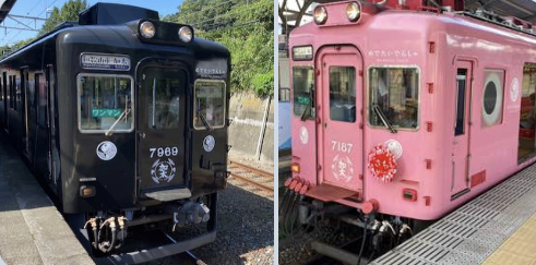 和歌山市駅から和歌山ラーメンを食べ、楽天クーポンの恩恵で格安にビジネスホテルに宿泊。明日の予定をホテルにあった観光パンフを見ながら熟慮。<br /> 朝一で南海電鉄加太線の「めでたいでんしゃ」に乗り、旧日本軍の要塞跡があるジブリのラピュタ島と言われる友ヶ島にフェリーで行くことにしました。