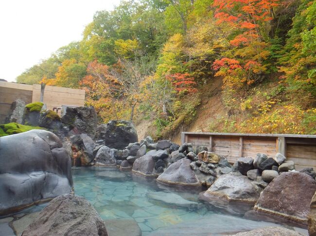 ANAのプレミアムクラスタイムセール(8/29)にまんまとはまり、振休消化も兼ねて「根室中標津」行きのチケットを購入していました。その後、11月末までPP2倍キャンペーンが延長となりました。ステイタスキープの半修行中だったのですが、救済措置のおかげであと少しでプラチナ達成できそうなところまで来ました。<br /><br />宿泊先は、札幌転勤を機に北海道内隅々まで旅行していた同僚が道東エリアでおすすめと言っていた「湯宿だいいち」一択で決定。<br />人気の宿らしいのですがコロナの影響か、1ヶ月前でも予約できました。<br /><br />【気候】<br />中標津は1週間前位に気温1度の寒い日があったらしく、紅葉が始まっていました。<br />旅行中の日中の気温は22度で半袖で大丈夫でした。展望台など標高の高いところではウールのカーディガンを着てちょうどよい感じでした。<br /><br />【観光】<br />台風が去った直後で摩周湖が空からも見えました。裏摩周・第1・第3と3つある展望台に行って景色を比較してみました。<br />モアン山、神の子池、硫黄山、美幌峠、開陽台、ミルクロード<br />などの定番コースを周遊しました。<br /><br />【スイーツ&グルメ】<br />「シレトコドーナツ」や乳牛を草だけで育てている山本牧場「ミルクリーム」のソフトクリームなど道東スイーツを堪能できました。<br />根室産秋刀魚、川湯温泉駅「オーチャードグラス」のビーフシチューをいただけたのはよかったです。蟹、ウニは食べられず、ちょっと残念でした。<br /><br />行き:ANA377 羽田12:15→根室中標津13:55(プレミアムクラス)<br /><br />帰り:ANA378 根室中標津14:35→羽田16:30(プレミアムクラス)<br /><br />宿泊先:養老牛温泉「湯宿だいいち」<br /><br /> <br />