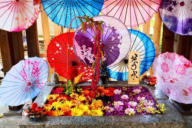 函館へ行くつもりで昨年秋から予約していたのに、相変わらずのコロナに振り回され、キャンセルしては予約してを繰り返して半年が過ぎた...<br />函館はもう頭から離れてしまったところで、ふと雲海を見に行こう!と今度は新千歳の往復エアチケットをポチるも、これまたコロナに振り回され3回もキャンセル...北海道に縁がないのねぇ(泣)と、嘆いたところでこの度ようやく北の大地へ行くことが出来ました♪<br />でも、雲海を見にトマムはもう時期も時期でちょっとテンションも下がってしまったので、今回は札幌&小樽のコースで2泊3日ではありますが食のワンダーランドを満喫してきました。<br /><br />トマムの星野リゾートもホントならキャンセル無料期間は過ぎていたのだが、ホテルに問い合わせたら受けてくれたので助かった。<br />コロナ禍で旅する我々も難儀だけど、航空会社もホテルも飲食店もホントに大変だなとつくづく思いました。<br />しかもスカイマークさん太っ腹でPCR検査は無料でやってくれました。陰性反応も確認したしワクチンもとりあえず2回接種したのでいざ出陣(笑)<br /><br />さて、北海道!かれこれ15年振りぐらいで訪問です。<br />一番最初に足を踏み入れたのはなんとまぁ高校の修学旅行(爆)その頃はまだ青函連絡船なんていうものが存在しており、復路こそ飛行機でしたが、往路は夜行列車と青函連絡船で北海道へ乗り込んだのでした。でも学生時代、旅の内容なんてどうでもよくて友達と一緒に何日も過ごすってのが醍醐味でした♪ははは<br /><br />とりあえず北海道を楽しむべくまずは「食」であります。<br />と言うても胃袋は一つしかなくどこまで食べられるか???一人気ままに歩き倒しながら食を楽しんできました♪あぁぁただでさえ体重目下増量中なのに追い打ちかけてどうするねん?健康ならまぁいっか?(*^▽^*)<br /><br />10月2日(Sat) 東急ステイ札幌大通泊<br />6:45羽田→8:20新千歳 byスカイマーク<br />新千歳空港→札幌 by快速エアポート<br /><br />10月3日(Sun) Unwind Hotel & Bar Otaru泊<br />札幌→小樽 byJR函館本線<br /><br />10月4日(Mon)<br />小樽→新千歳空港 by快速エアポート<br />19:10新千歳→20:40羽田 byスカイマーク<br /><br />羽田⇔新千歳 13320円<br />東急ステイ札幌大通 ダブルルーム朝食付き 3706円<br />Unwind Hotel & Bar Otaru スタンダードダブル朝食付き 7700円<br /><br />札幌編:https://4travel.jp/travelogue/11715067<br />小樽編(前編):https://4travel.jp/travelogue/11715379<br />小樽編(後編):https://4travel.jp/travelogue/11716837<br />※表紙の一枚は諏訪神社の花手水です。