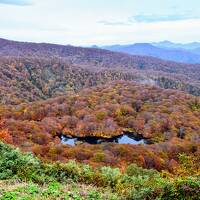 ないだて！秋の山形さ行ぐだ - 前編