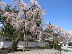 筍買いに京都まで　筍までは遠かった。今日はゲットできるかな？