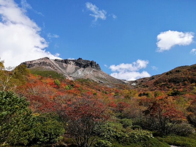 いつまでたっても初心者レベル。<br />低山しか行けないと思っていたけど、標高の高いところに駐車場があればこんな私達でも行けると気付き、百名山に登りたい！とまずは茶臼岳を目指すことに。<br />ガレ場の山頂、紅葉の姥ヶ平。２つの顔を楽しめた登山でした。