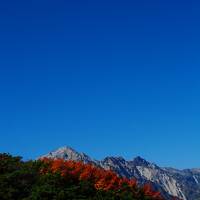 ～山歩き～　北アルプスの稜線まで行ってきた。