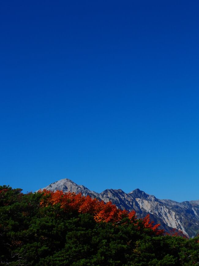 本当に久しぶりの山登りになりました。<br /><br />唐松岳への登山道は見どころが多く体調や気分でゴールを変更しやすいので、初めて山登りをする方に向いていると思います。<br /><br /><br />