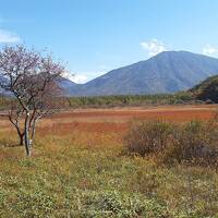 いよいよ紅葉シーズン。奥日光・戦場ヶ原