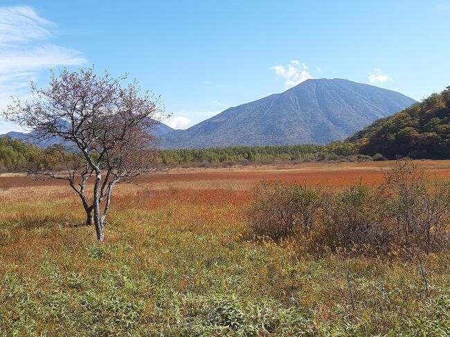 関東平野では10月に入ってもまだ25度越え、衣替えも必要がない天気が続いている一方、奥日光では徐々に紅葉が始まっており、戦場ヶ原の一部では今が見所との情報。<br /><br />休日の仕事が入って平日が代休となったため、<br />天気も良かったので日帰りで奥日光を訪れてみました。<br /><br />これから約1カ月、紅葉は徐々に日光の山を降りて行くはずです。<br /><br />日光はアクセスできる道が1本しかないこと、山の中であまり駐車スペースが無いことから、可能であれば平日に行くのが良いですね。