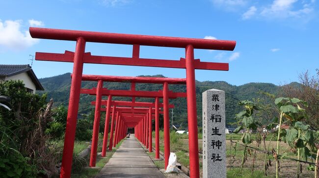 某旅行会社よりシークレットツアーの案内をいただき　それとなく見ていると「出雲日帰り　14,800円」の文字が　それも滞在時間たっぷり9時間と夢のような話　以前より出雲大社は神様に呼ばれないとなかなかたどり着けない場所とは聞いていましたので　これは絶対神様に呼ばれたんだと思い込み(笑)　早速ぽちっ！　秋晴れの出雲大社と周辺観光　もしよろしければ最後までお付き合いください！！