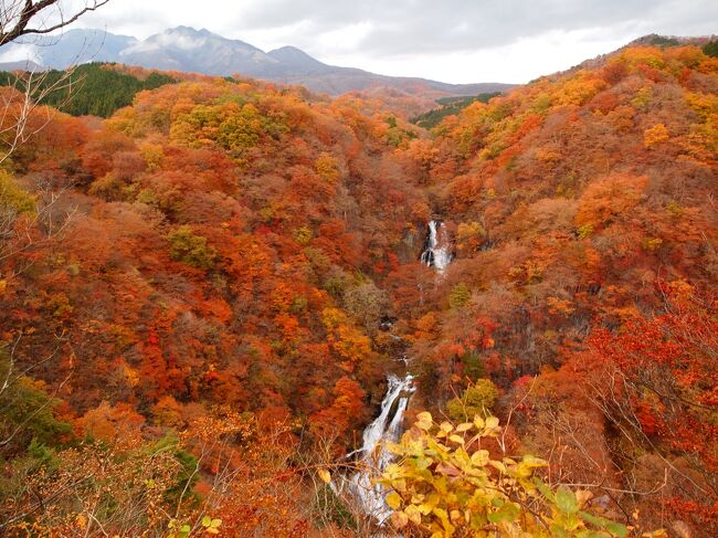 じっくりめぐる晩秋の日光　二日目【3】滝巡り、霧降の滝・裏見の滝・華厳の滝ライトアップ