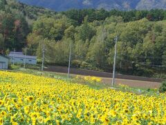 北海道サイクル　羊蹄山一周