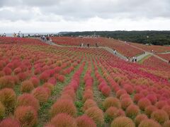 Ｅ　ＯＣＴ　２０２１　　テツ旅Ⅲ・・・・・④ひたち海浜公園