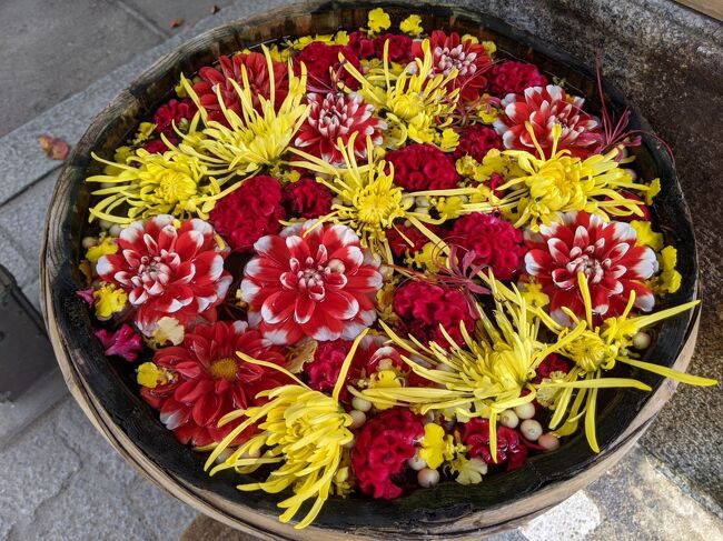 近年SNS映えすると話題になっている神社やお寺の花手水<br />私もネットで調べて<br />勝林寺、金戒光明寺などに見に行った。<br />高槻市の野見神社の花手水もインスタに結構あがっているんで気になっていた。<br />神戸ハーバーランド温泉万葉倶楽部で宿泊(2021/10/9土～10日)した次の日、行ってみた。<br />