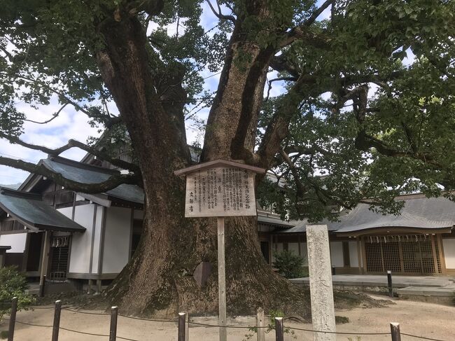 コロナが落ち着いてきたので、2年前に太宰府天満宮でご祈願したお礼参りにやっと行くことにしました。<br />最初は1泊の予定でしたが、外せない予定が入って日帰りになってしまいまい残念!<br />福岡は食事も楽しみなんだよなぁ